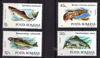 4 KS,Rumunsko Post Pečiatka,1994,Ryby Pečiatka,Zvierat Pečiatky,Pečiatky Zber,Nové Pečiatky,Dobrý Stav, Zber,MNH