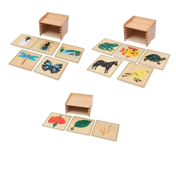 Montessori Vzdelávacích Drevené Hračky Botanická Kabinetu Botany/ Zviera/ Hmyzu Puzzle pre Deti Biologické Vedy Skoré Vzdelávanie
