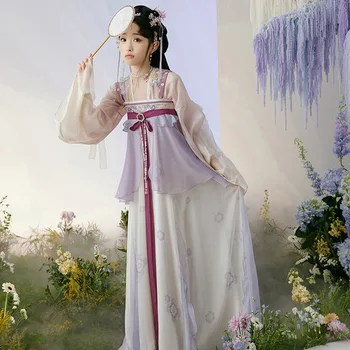 Nové Fialová Hanfu Šaty Čínske Tradičné Oblečenie Pre Ženy, Dospelých Tang Princess Šaty Ľudovej Tanečnej scény Kostým DQL6688
